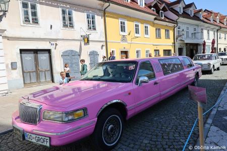 Mednarodna revija starodobnikov v Kamnik privabila ljubitelje klasičnih vozil (15)